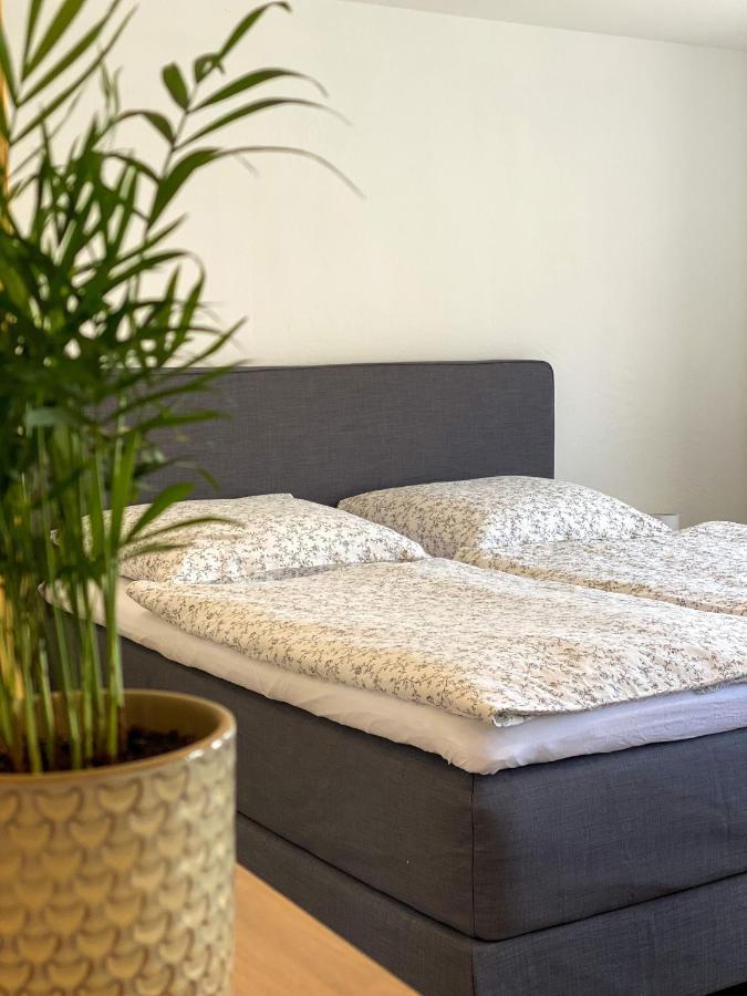 Fewo Catlen Traben-Trarbach Ngoại thất bức ảnh